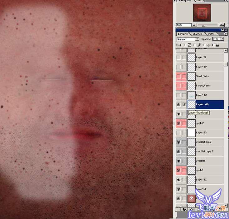 maya材质贴图教程 脚本之家 MAYA经典教程