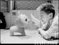 maya2008打造长江7号外星狗 脚本之家 MAYA经典教程