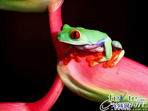 maya角色动画教程 maya高手打造《丛林危机》过程全记录录 脚本之家 MAYA经典教程