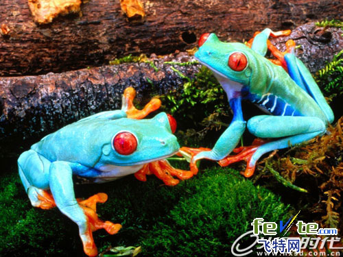 maya角色动画教程 maya高手打造《丛林危机》过程全记录录 脚本之家 MAYA经典教程